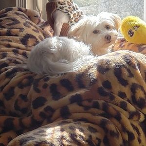 Meet your Posher, Roni